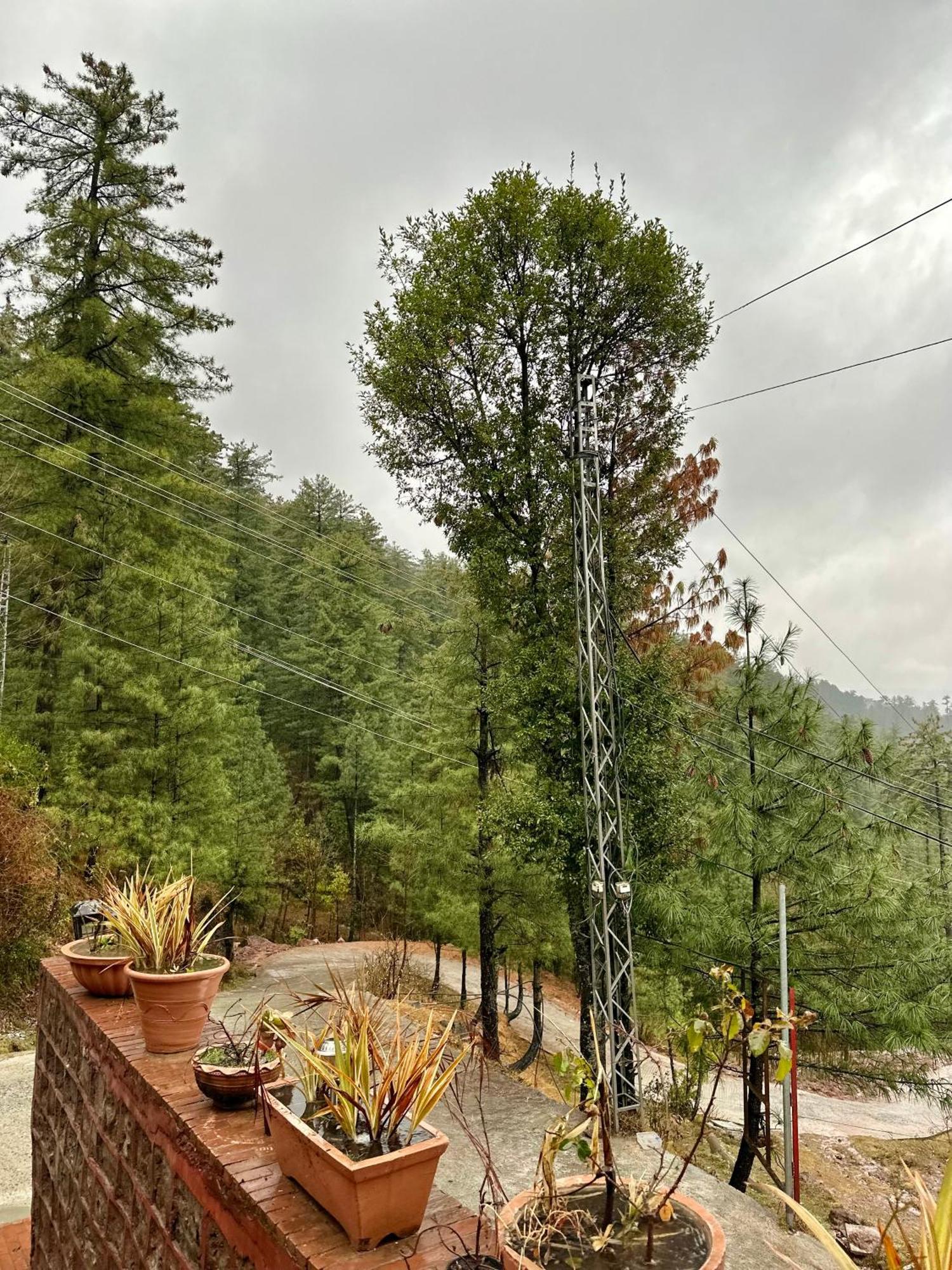 Sarah'S Lodge Murree Exterior photo